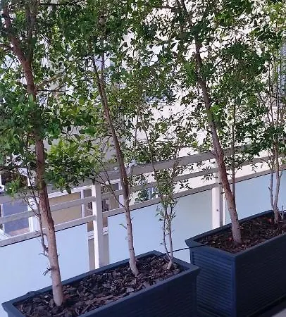 Garden Apartment Bari